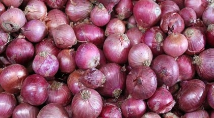 Indian, local onions costlier  

