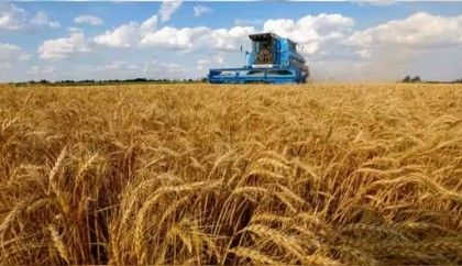 Kiev expects EU to lift embargo on Ukrainian grain