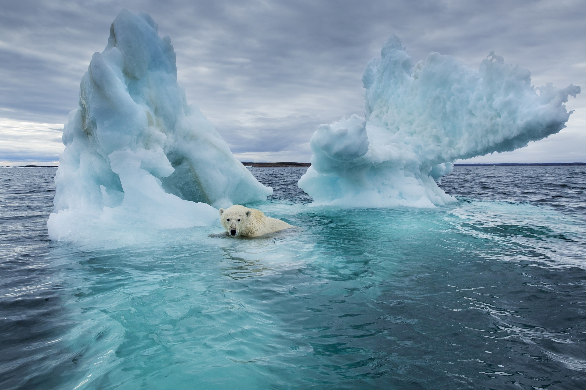 Antarctic sea ice hits lowest winter maximum on record: US data