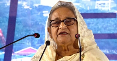 Bangladesh will surely overcome arson violence: PM