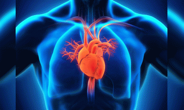 US FDA approves Wegovy to cut risk of heart problems