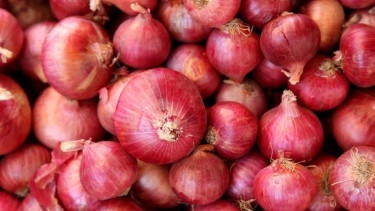 50,000 tonnes onion to arrive from India next week: Titu