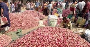 Respite for consumers as onion price decreases by half