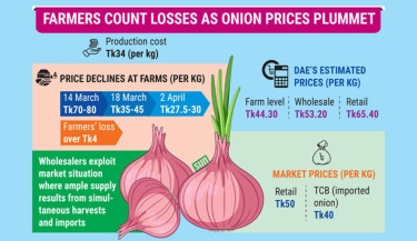 Onion price falls drastically as harvest reaches peak