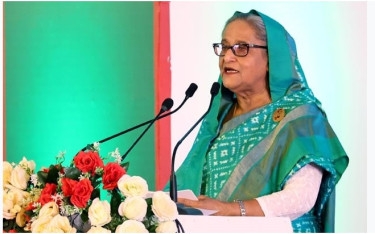 PM seeks private initiatives for livestock, fisheries sector’s development