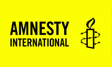 Post-WWII order on 'brink of collapse': Amnesty head